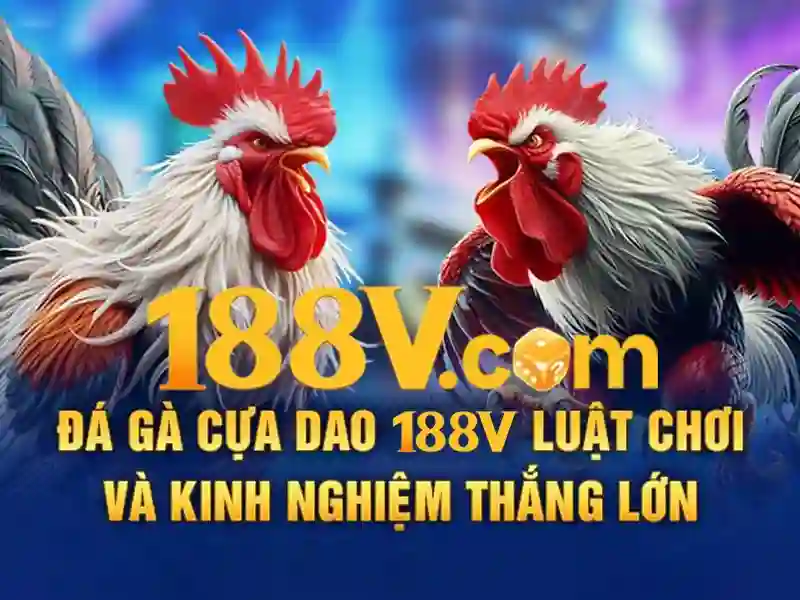 Kết luận về 188V và an toàn lâu dài