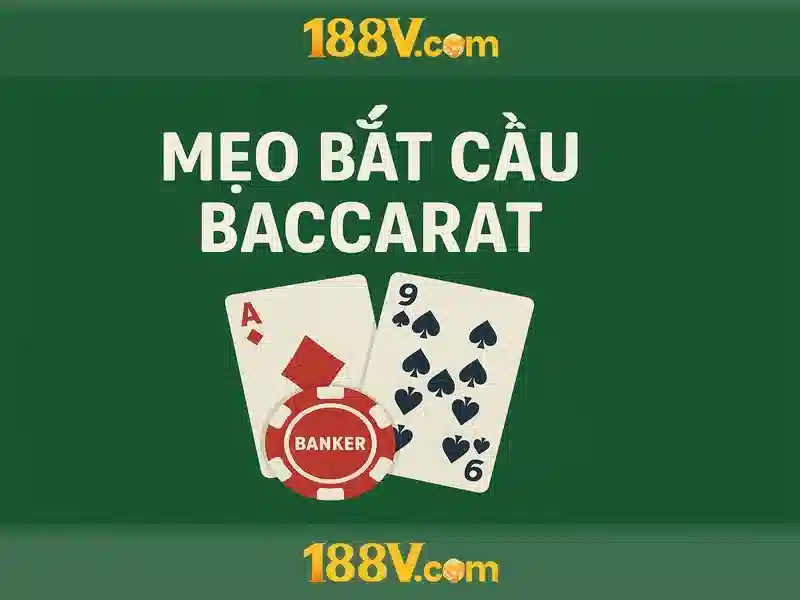 Khởi đầu của bản thảo