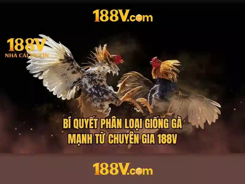 Khám phá công dụng và ứng dụng