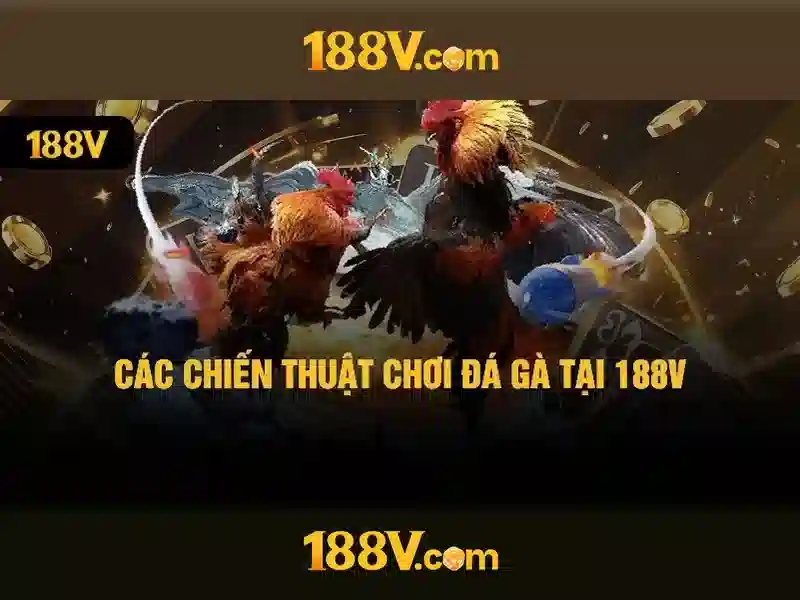 Kết luận về 188v