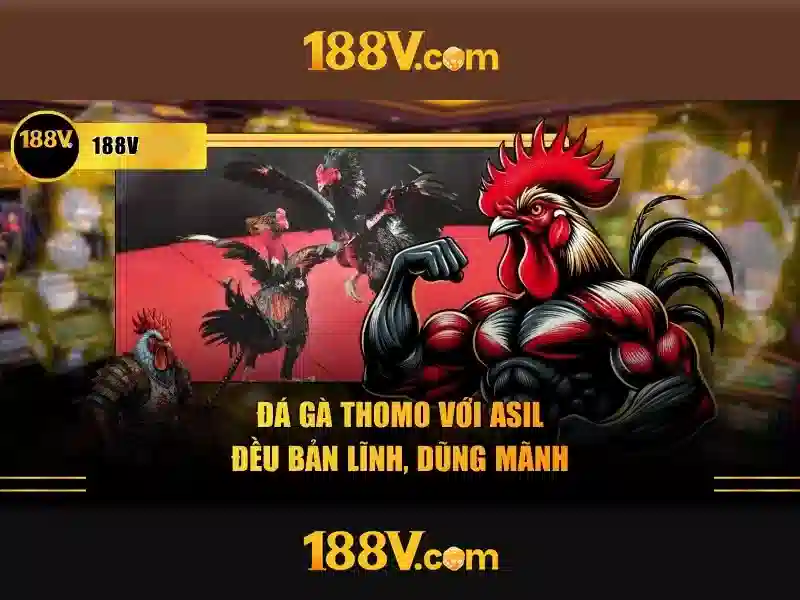 188v: Khám phá khái niệm và ứng dụng