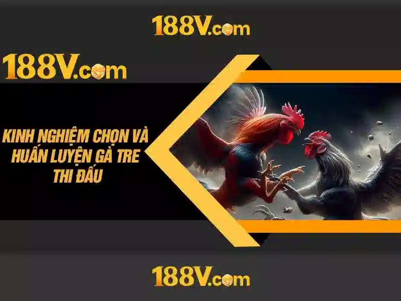 Nguồn gốc và ý nghĩa của ký hiệu 188v