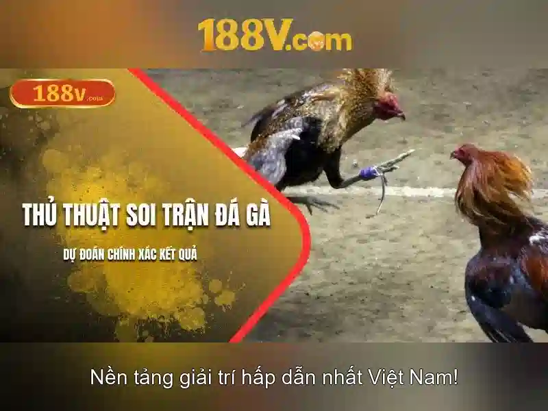 188v: một khái niệm số học và thiết kế