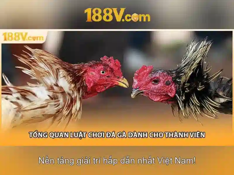 'Khái niệm 188v'