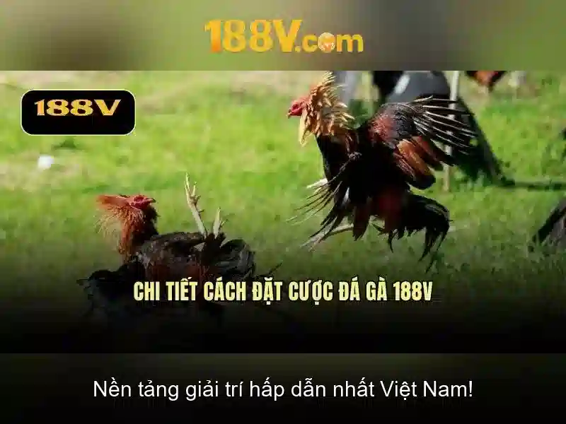 188v: Khái niệm và hành trình sáng tạo