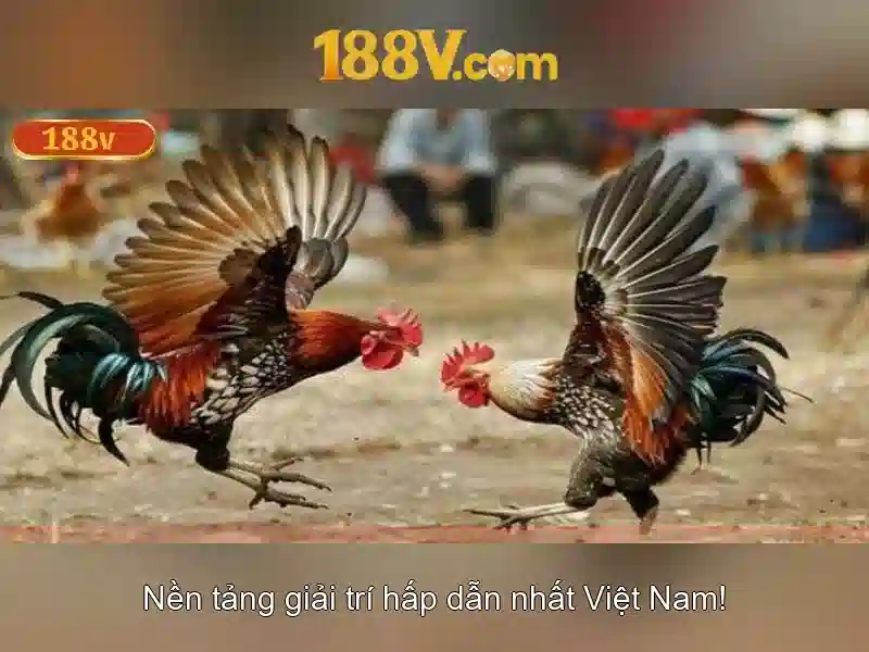 Khuyến nghị thiết kế và bảo trì