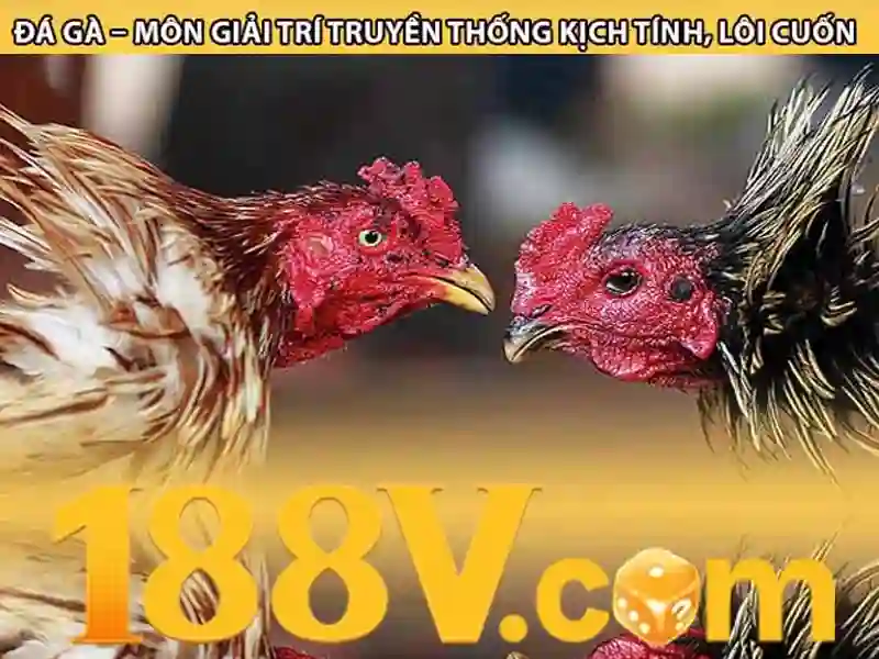 Cuộc hành trình xuyên thời gian trong 188v